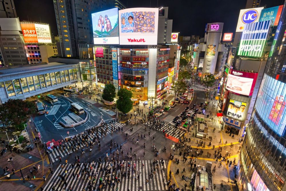 Imagen de Tour privado a Tokio en vehículo con chófer de habla hispana