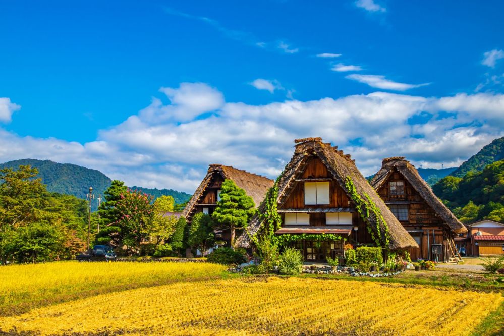 Imagen de Excursión de 1 día a Takayama: explore el pintoresco Takayama y Shirakawago