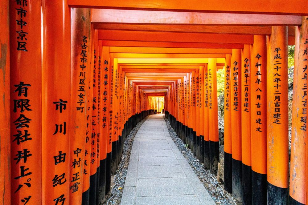 Imagen de Tour Privado y Guiado en Español por Fushimi Inari y Nara