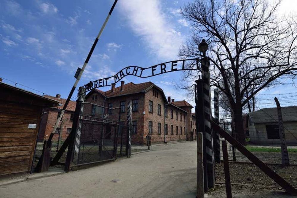 Imagen de Auschwitz + Minas de Sal en un día