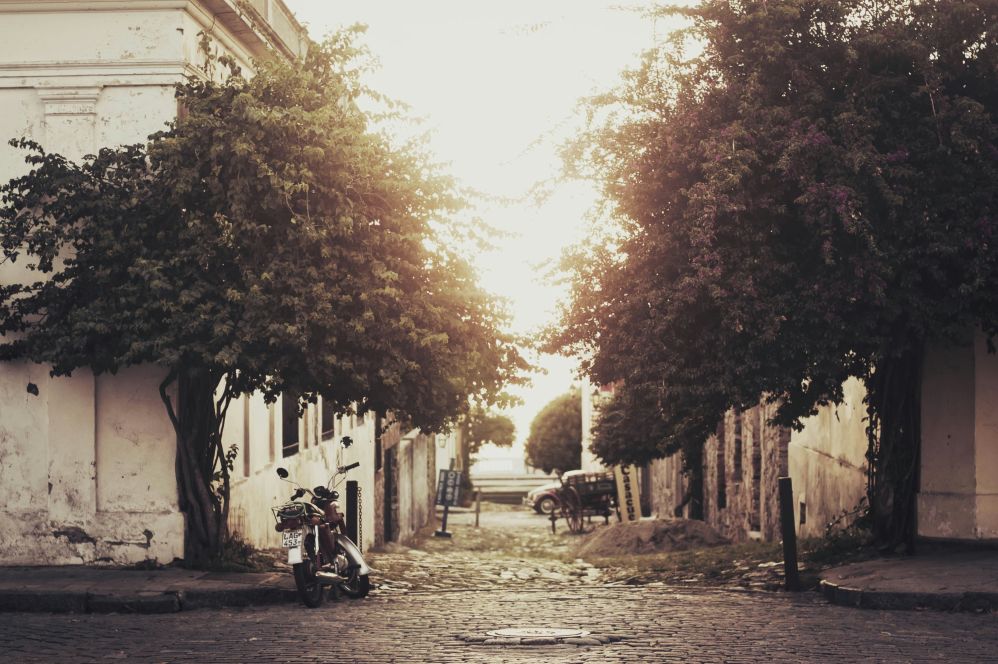 Imagen de FULL DAY COLONIA REGULAR (SIB)