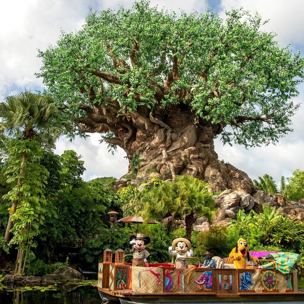 Imagen de Dia de Parque: Disney’s Animal Kingdom