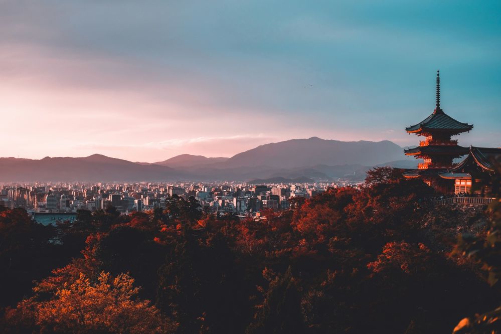Tour a pie por Tokio Shibuya, Harajuku y Meiji Jingu