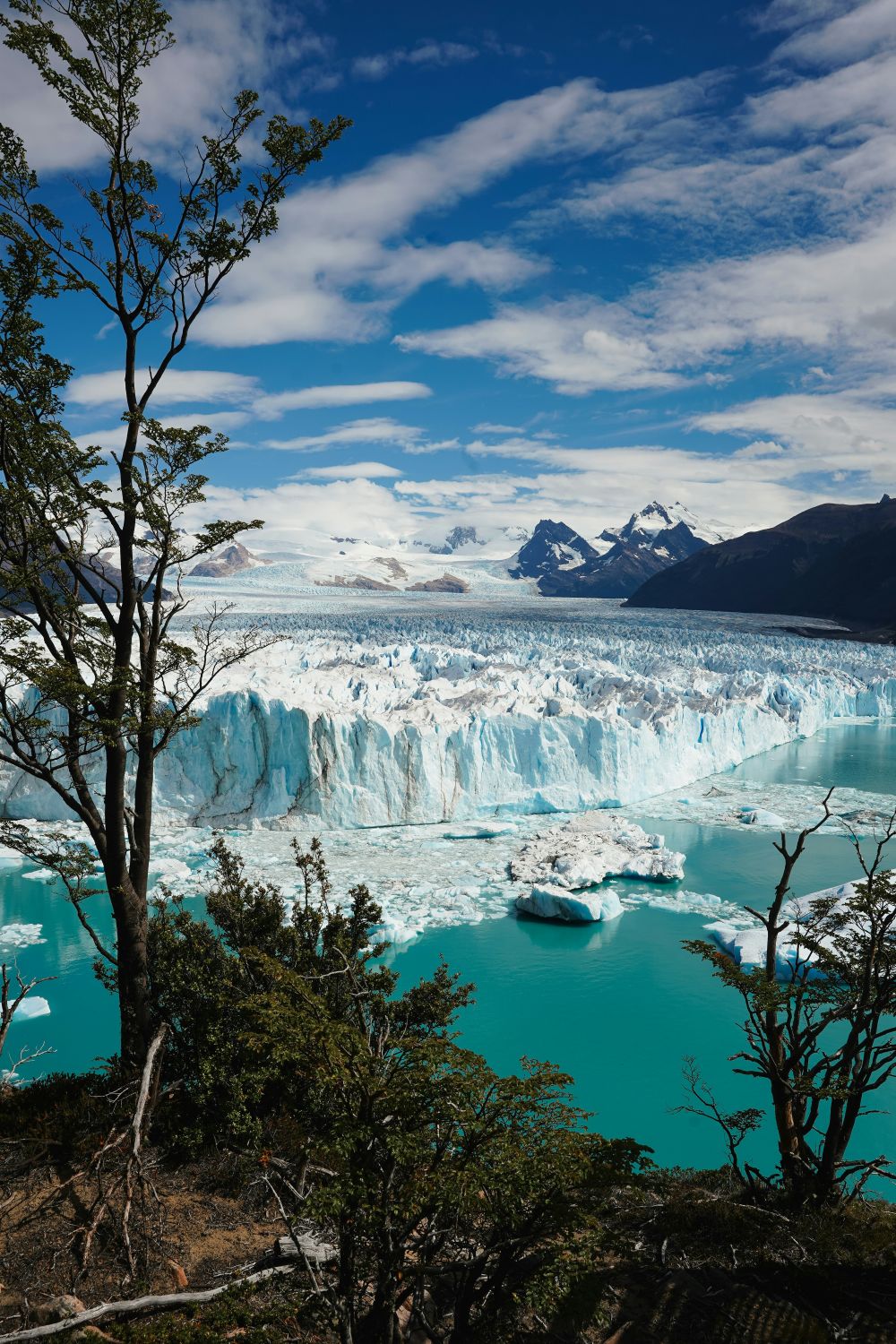 Imagen de Excursión al Glaciar Perito Moreno y safari náutico
