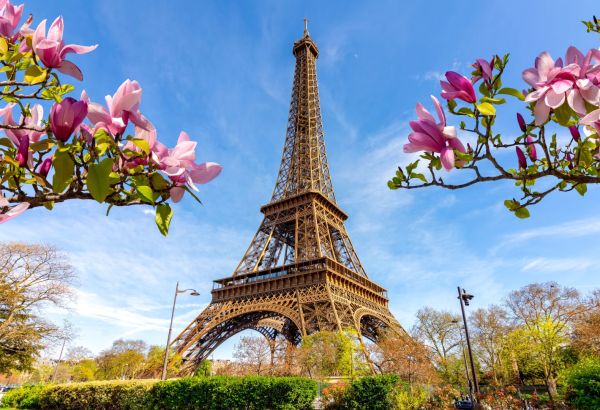 Travel Days: Circuito europeo por Francia y España + Roma