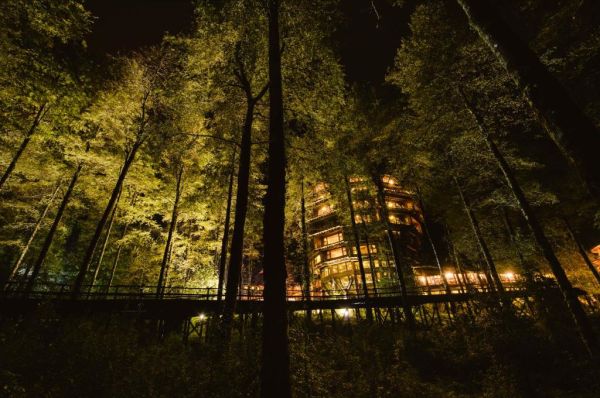 Travel Days: Reserva Biológica Huilo Huilo con todo incluido en Hotel Nothofagus - 20% de dscto.