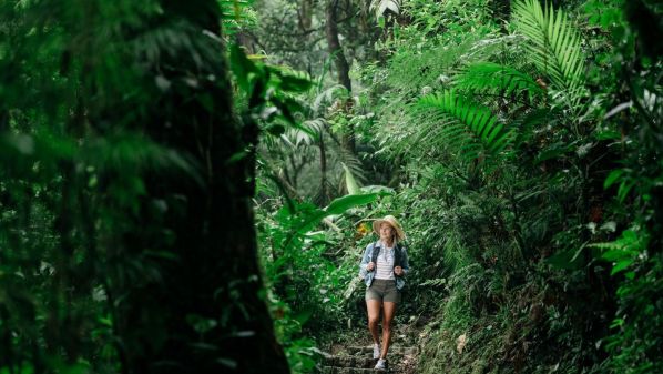 Costa Rica: Tortuguero, Arenal, Monteverde  y Manuel Antonio