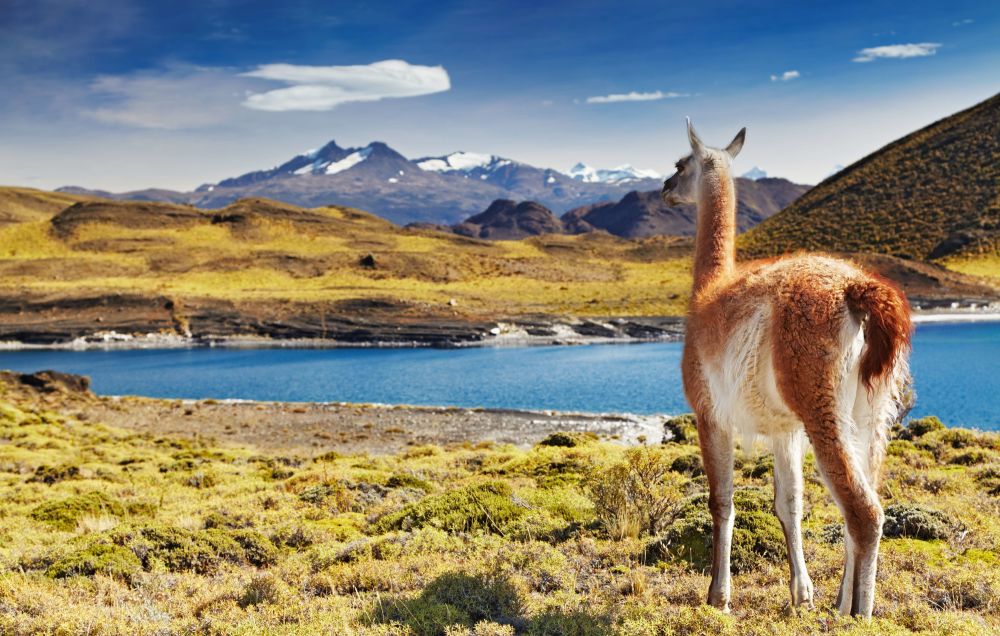 imagen de Parque Nacional Torres del Paine
