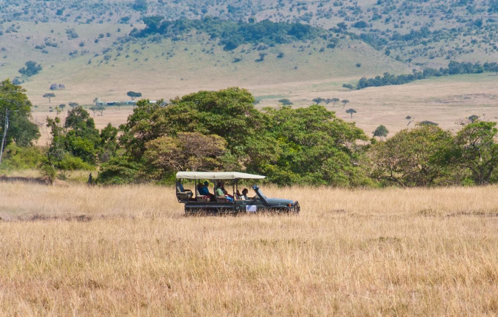 imagen de Safari en el Parque Nacional Kruger