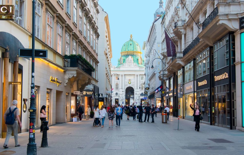 imagen de Visita panorámica por Viena
