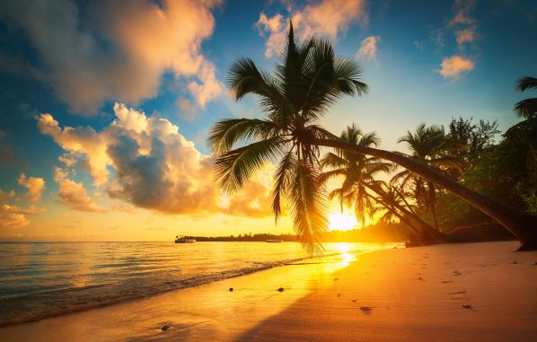 Punta Cana con todo incluido en Dreams Macao Beach Punta Cana