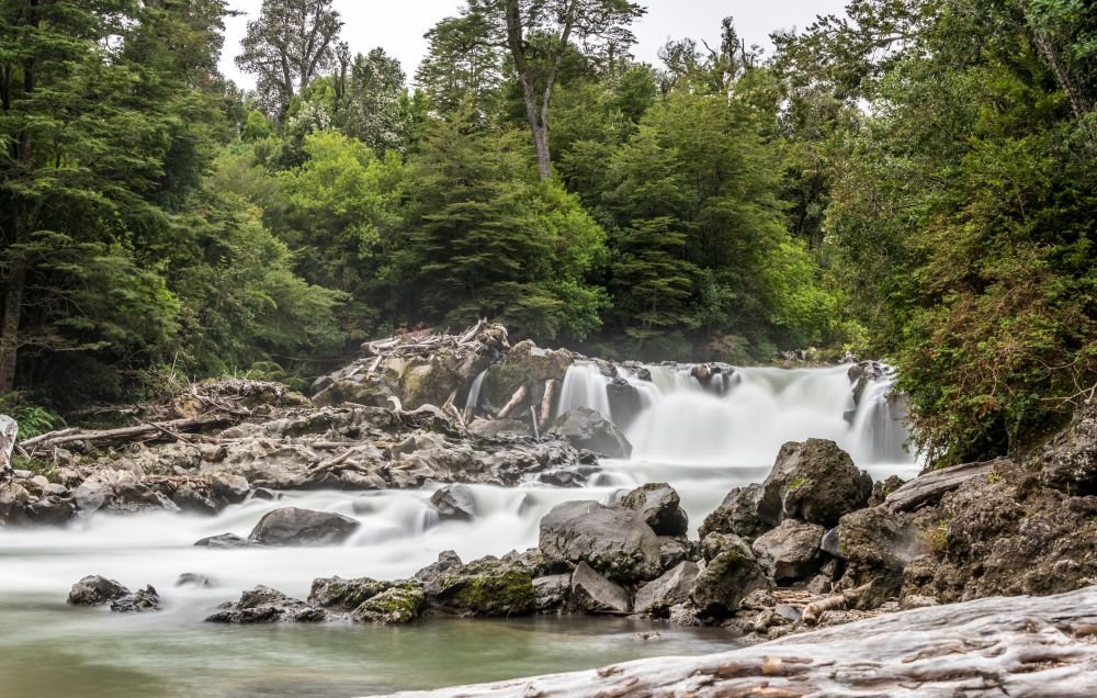 imagen de Parque Nacional Puyehue