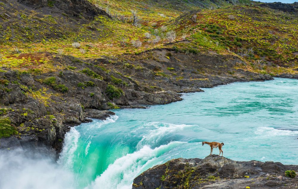 imagen de Estepa Patagónica