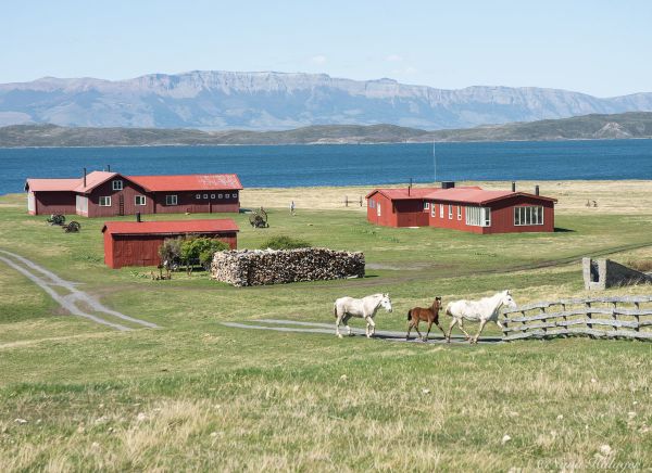 Patagonia Activa: Base Torres del Paine y Estancia la Península