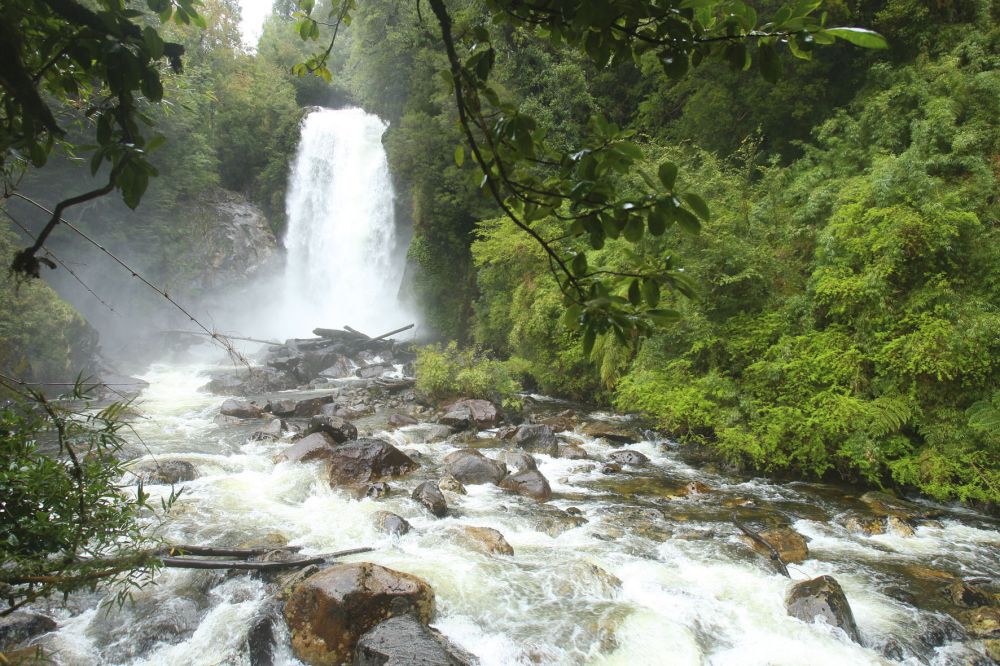 imagen de Excursión al Parque Aikén del Sur