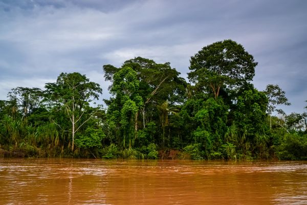 Aventura por el Amazonas en Inkaterra Hacienda Concepción