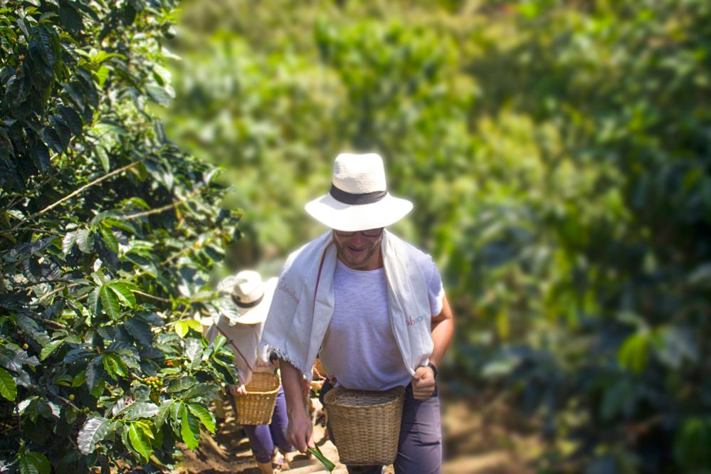 imagen de Tour a una Finca del Café