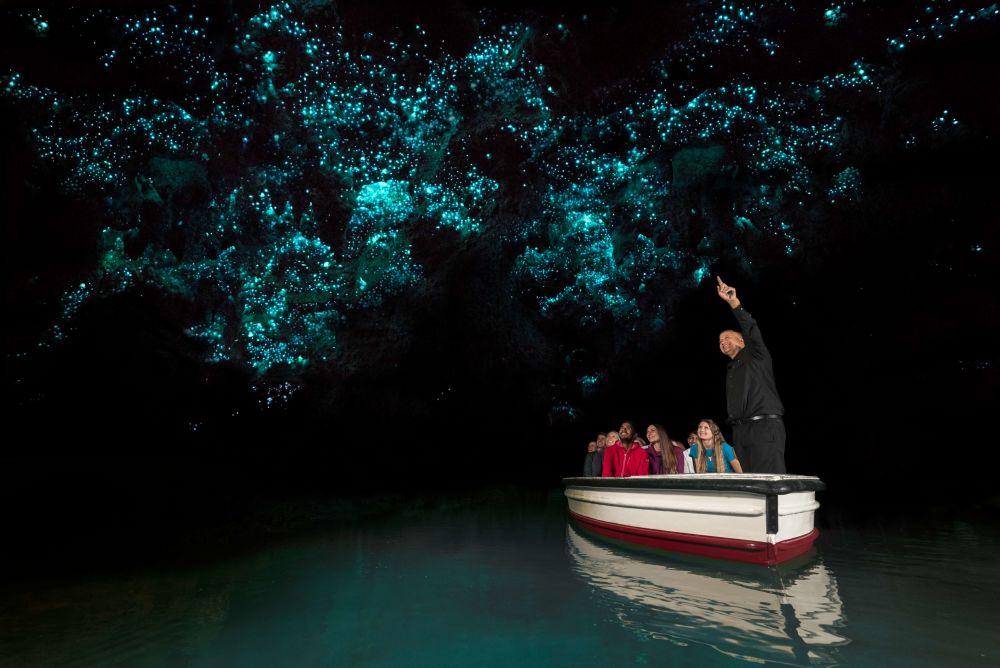 imagen de Visita a las cuevas de larvas luminosas de Waitomo