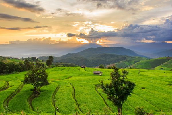 Vacaciones por el Sudeste Asiático: lo mejor de Singapur y Tailandia