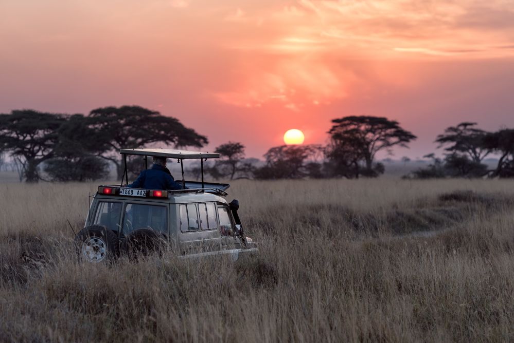 imagen de Safari por el Parque Nacional Serengueti