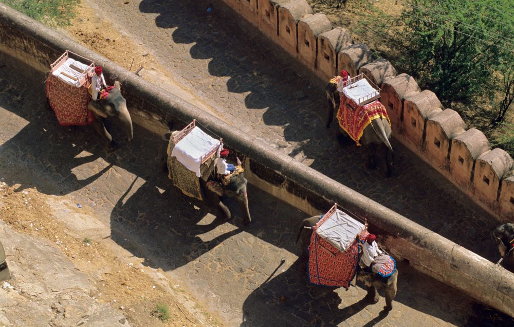 imagen de Visita al Fuerte Amber con paseo en elefante