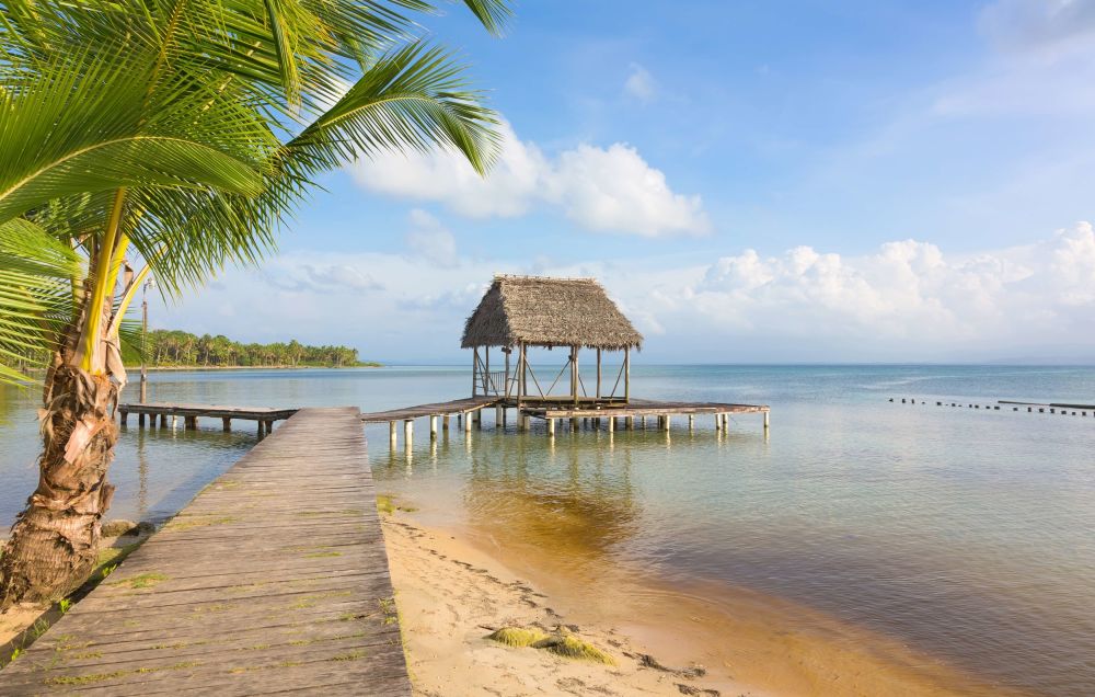 imagen de Visita a isla Pájaros, Boca del Drago y playa Estrella