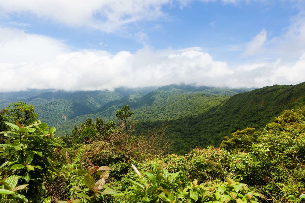 imagen de Monteverde