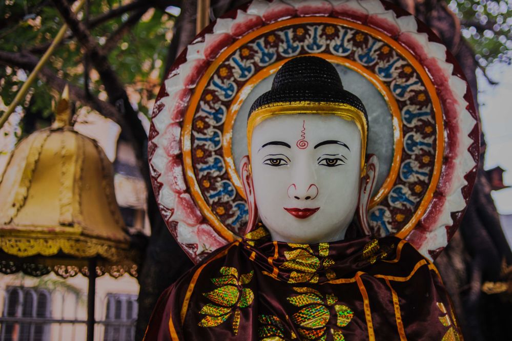 Imagen de la actividad