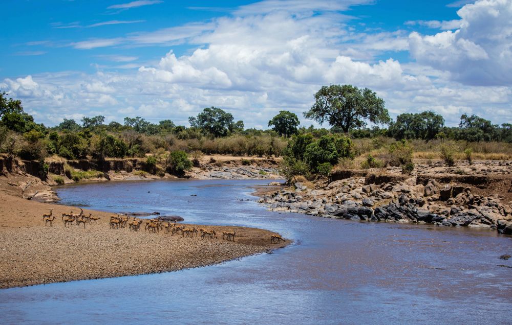 Safari a pie por los pasos migratorios del río Mara