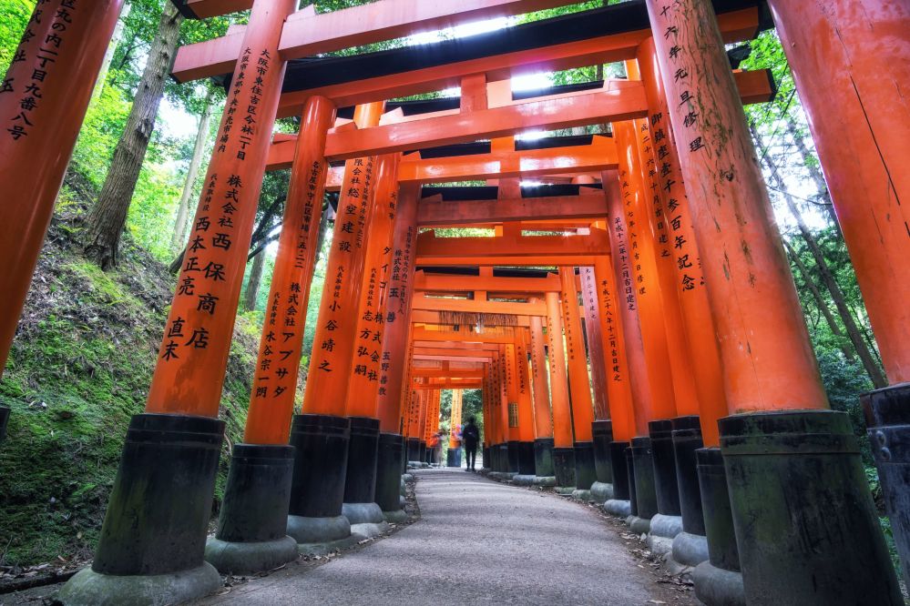 Visita al Santuario Fushimi Inari-taisha