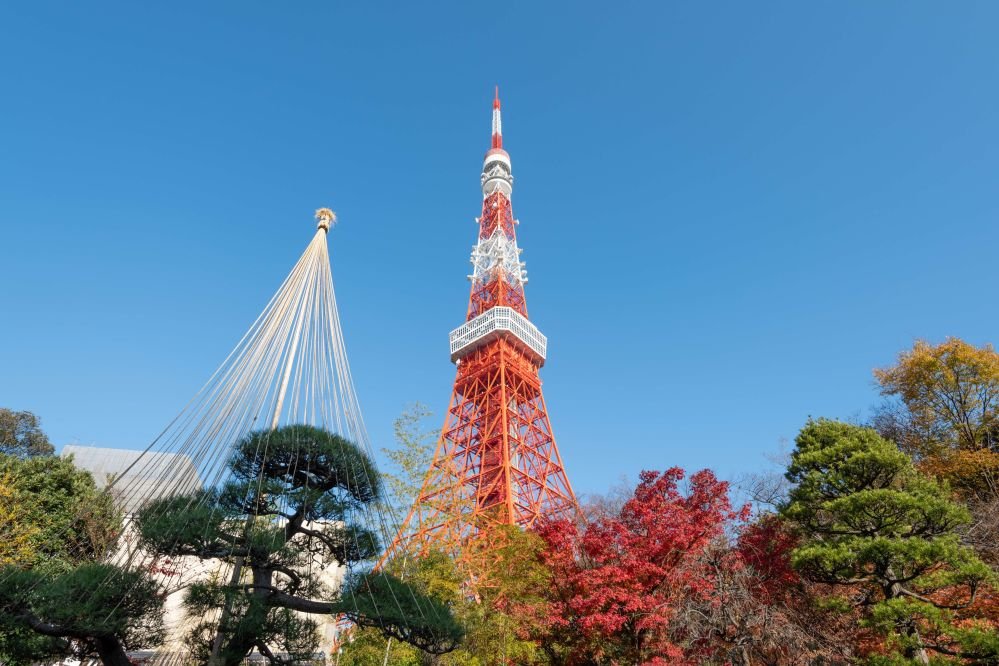 Visita a la Torre de Tokio