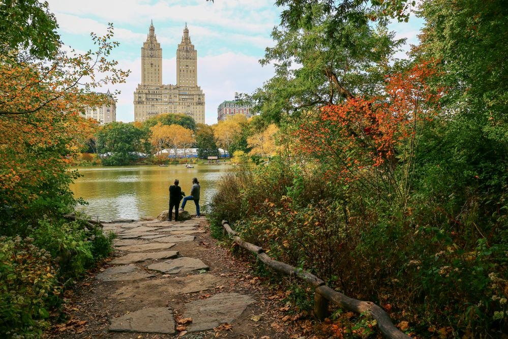 Excursión de medio día a elegir en Nueva York