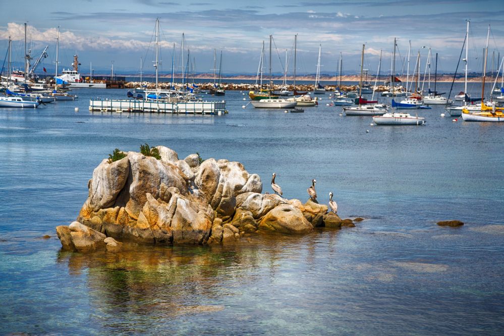 imagen de Monterey