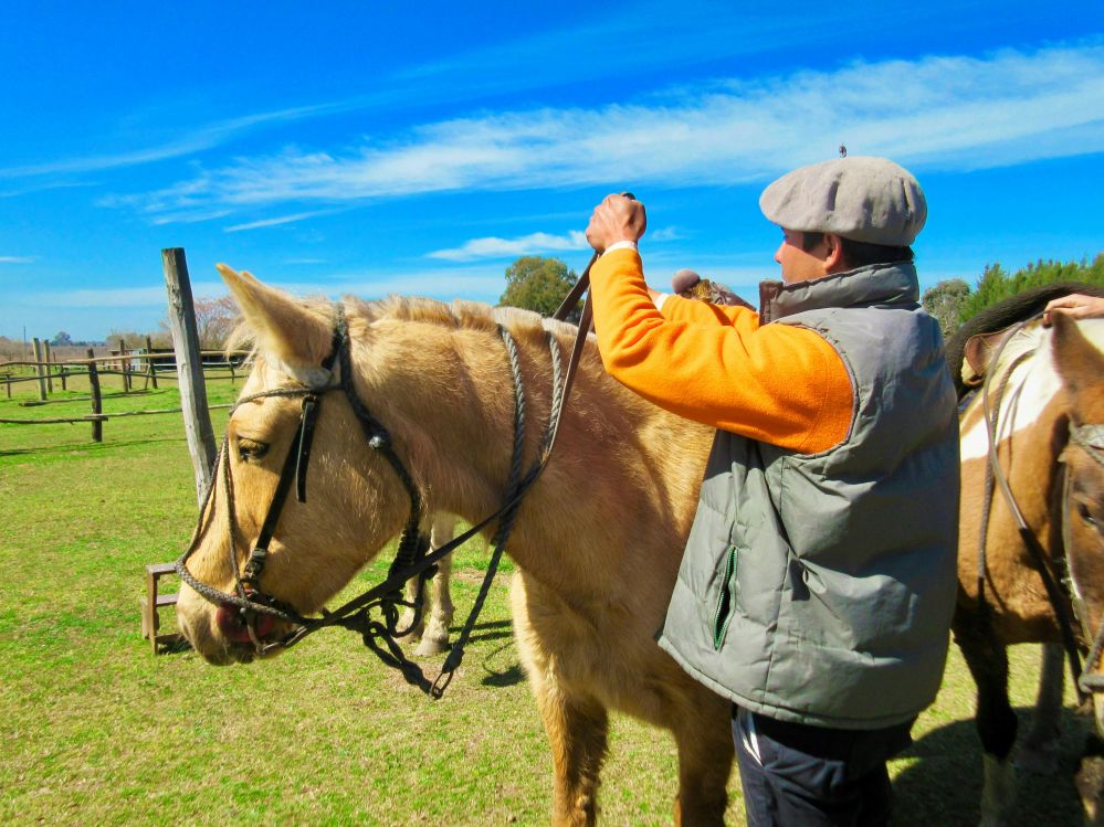 imagen de Fiesta Gaucha Don Silvano