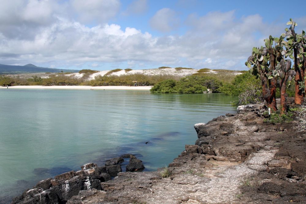 Visita a playa Tortuga