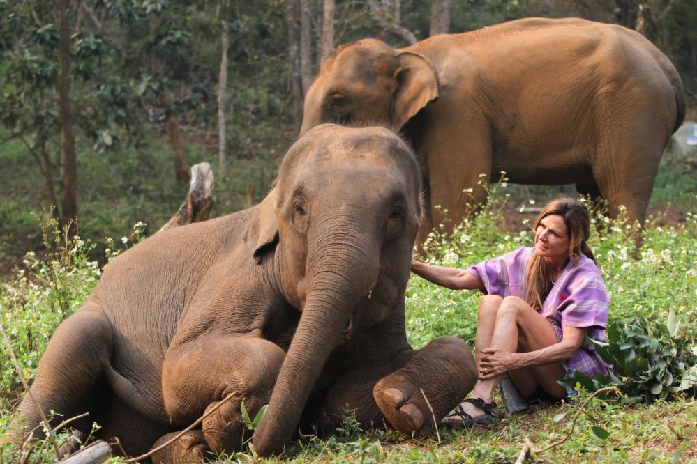 Visita a Patara Elephant Farm