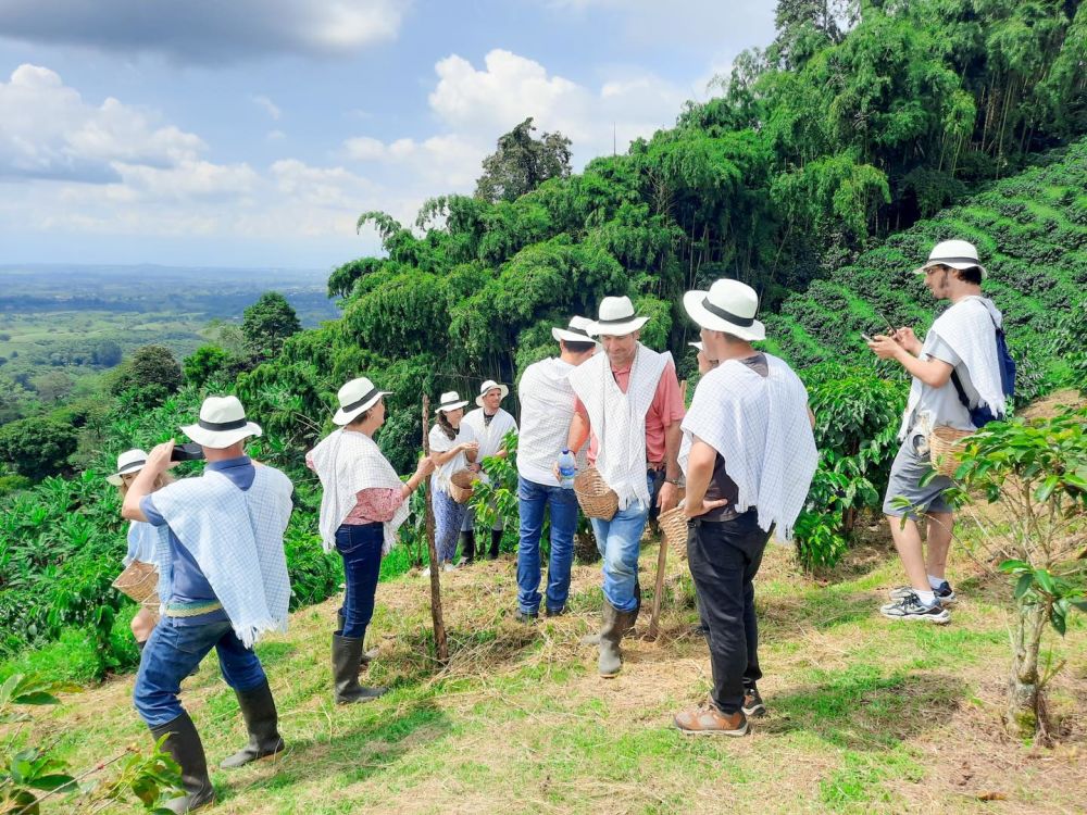 imagen de Tour a la Finca La Divisa de Don Juan