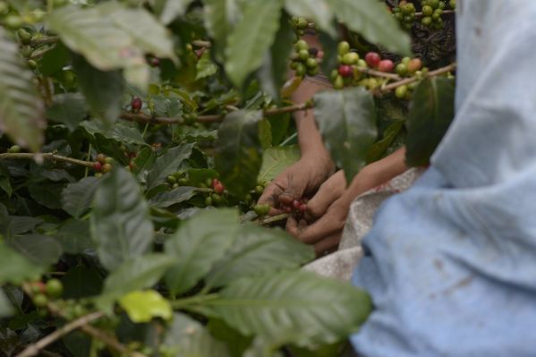 Eje cafetero en Pereira con Sazagua Hotel Boutique