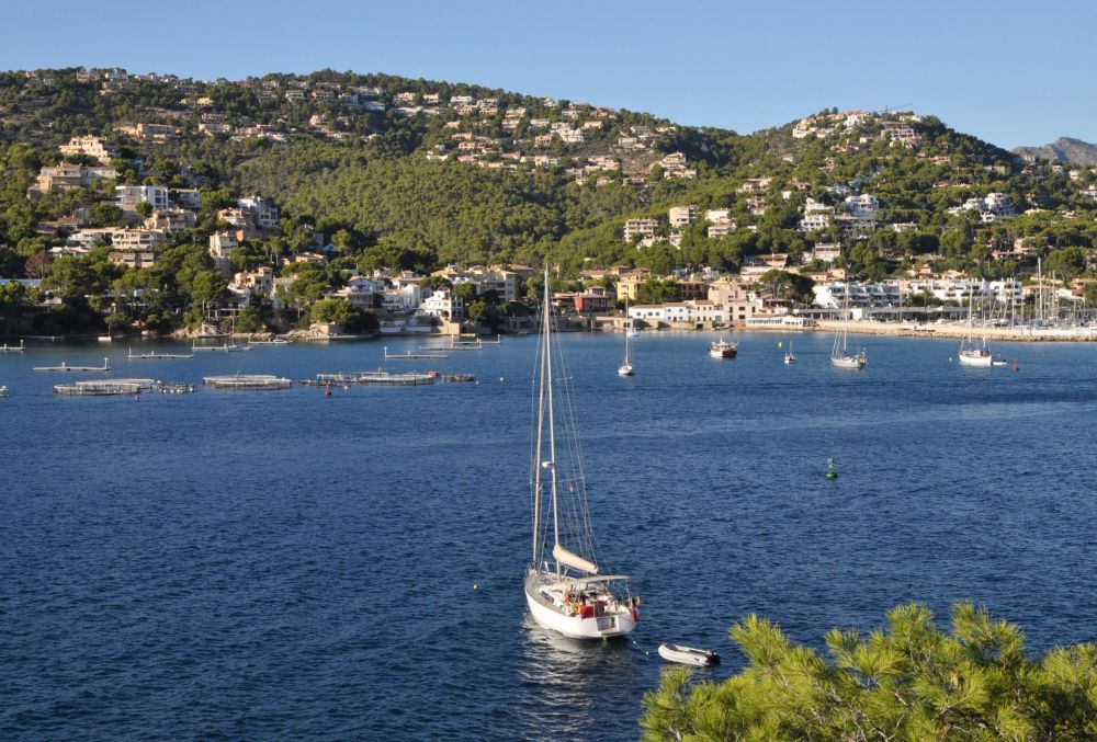 Paseo en barco privado de lujo por la isla de Mallorca