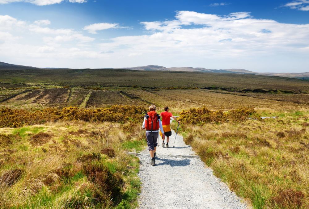 Excursión al Parque Nacional de Connemara con paseo en barco y almuerzo