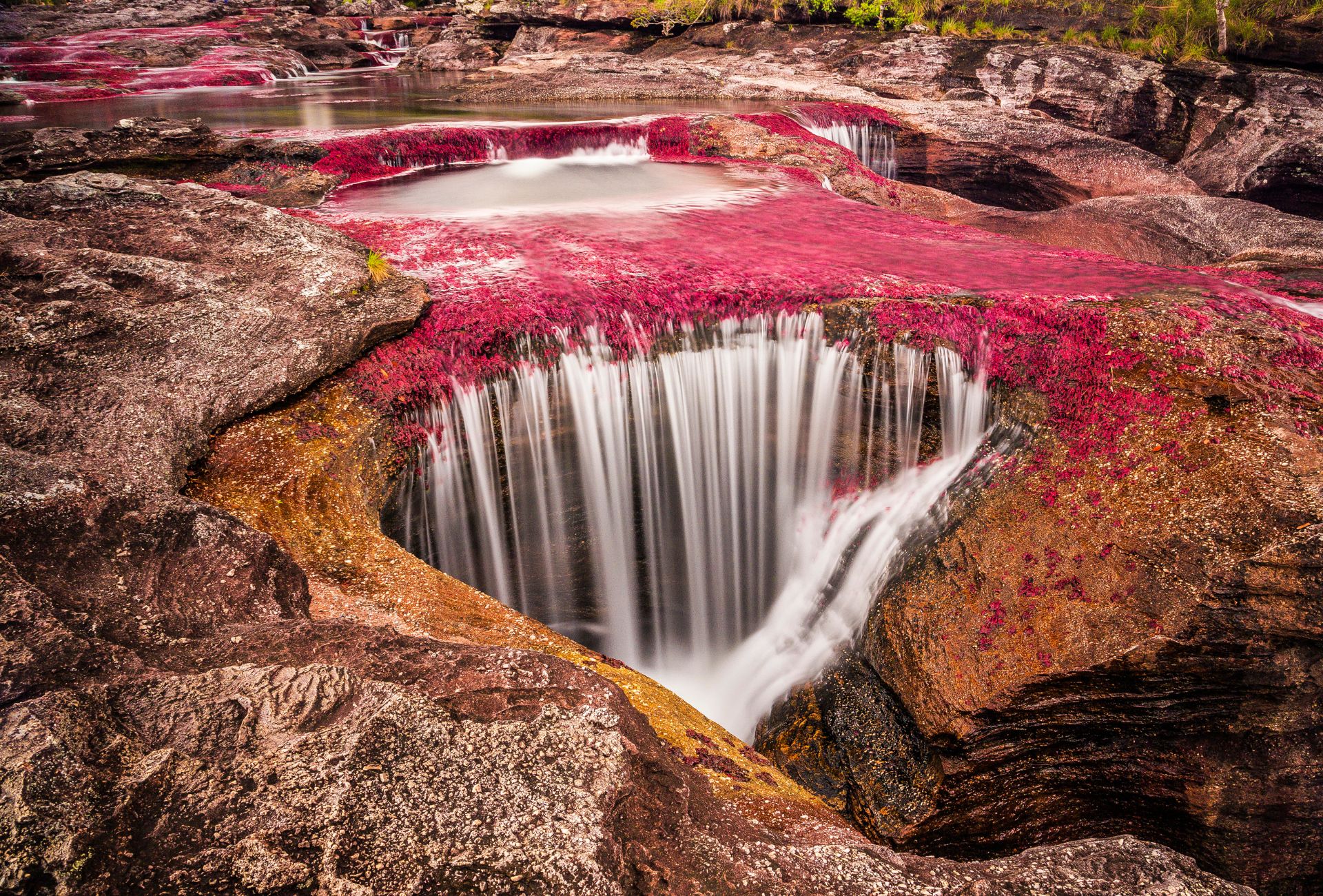 Excursión a Caño Cristales