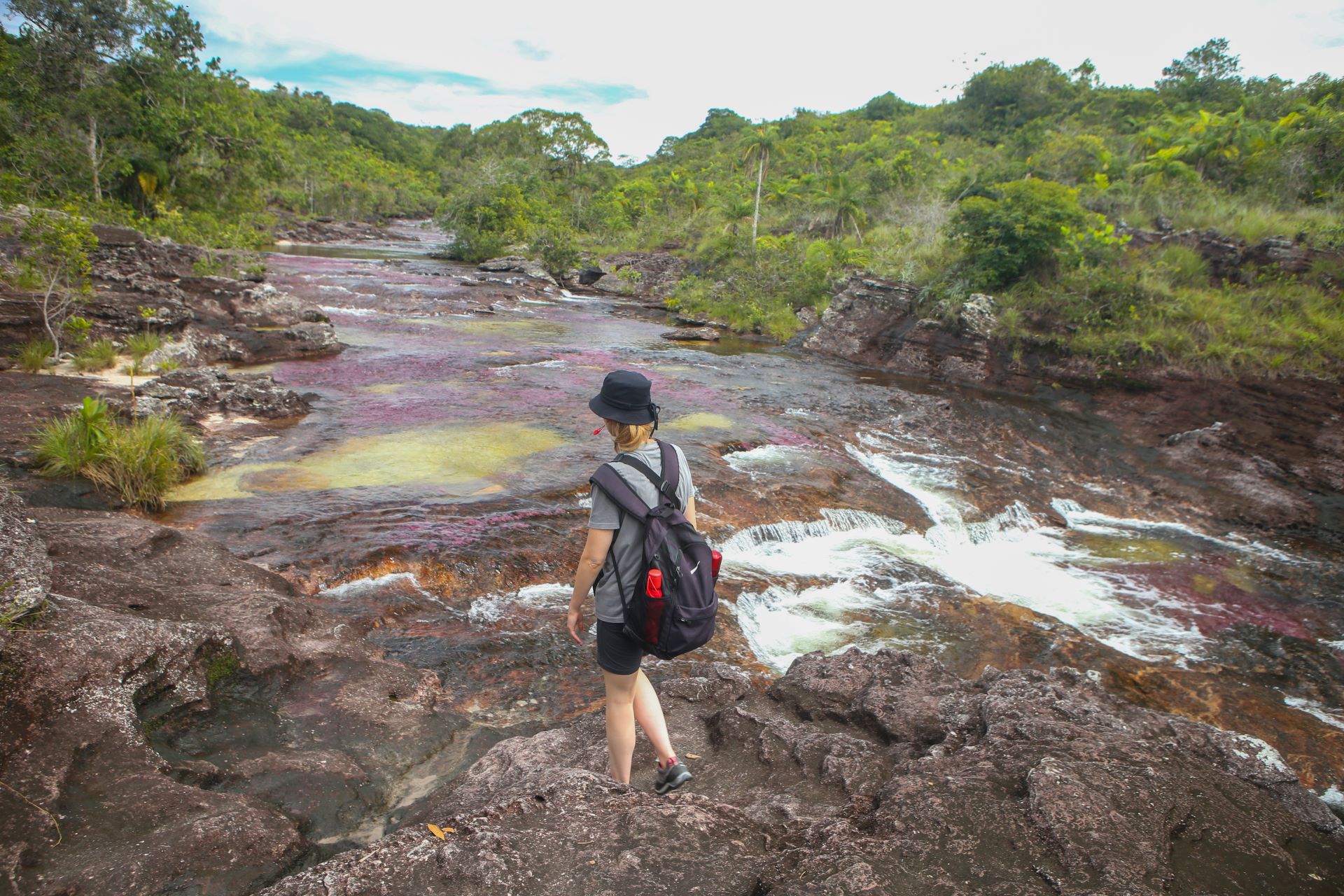 imagen de Caminata a Caño Cristalitos