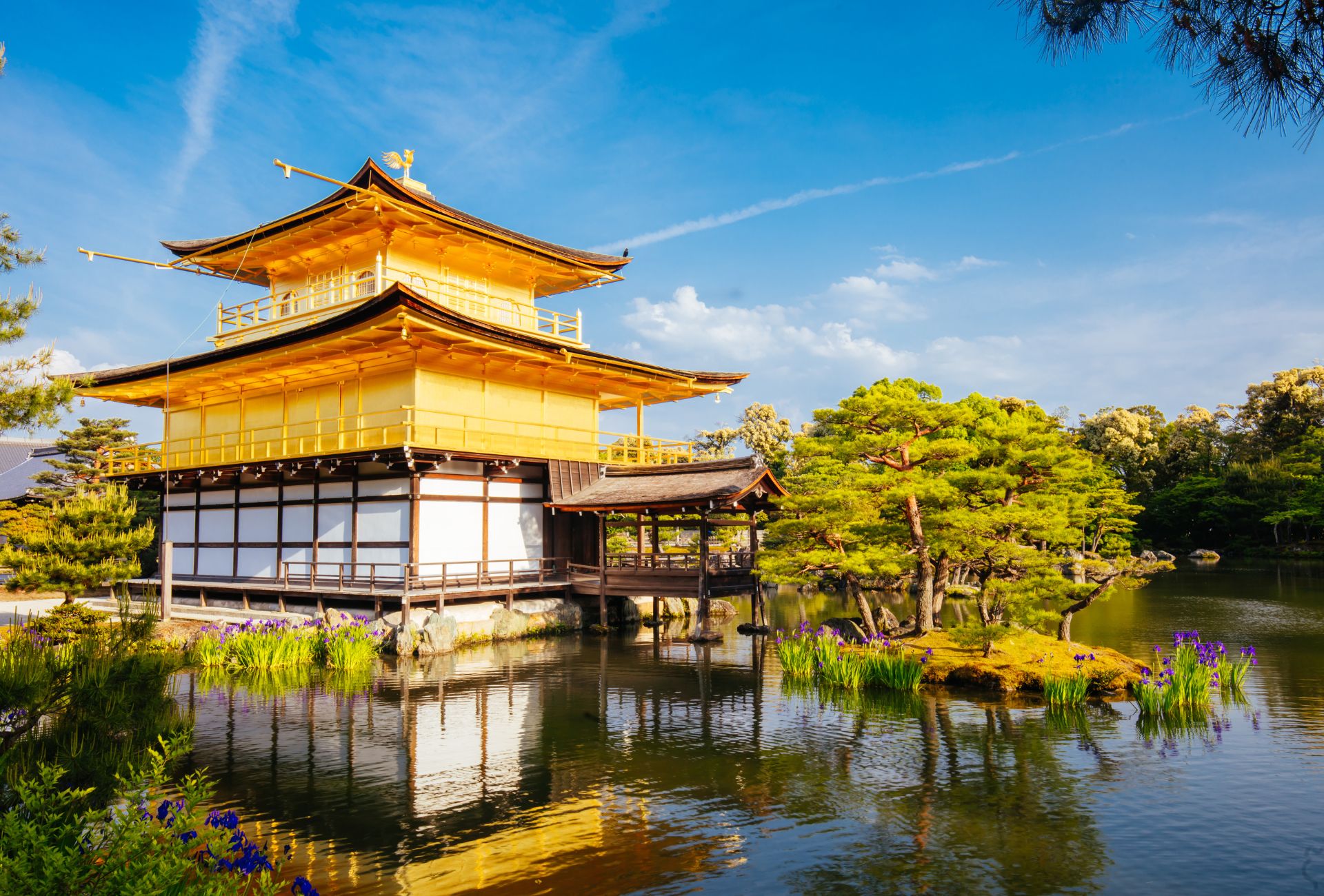 Visita al Templo Kinkakuji o pabellón dorado de Kioto