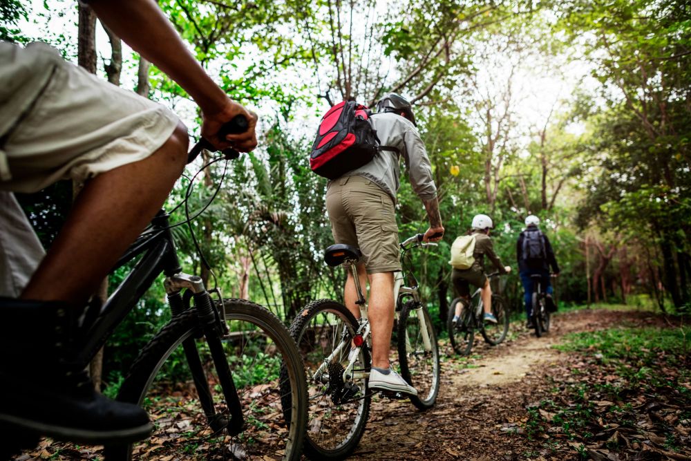 imagen de Tour en bicicleta por las ruinas aledañas a Cusco