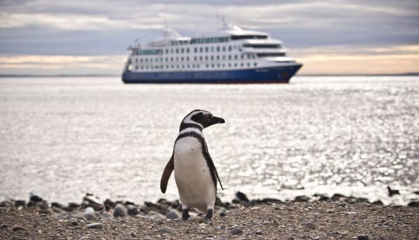 Crucero Australis por Tierra del Fuego con hasta 2 niños gratis y dscto. especial para adultos