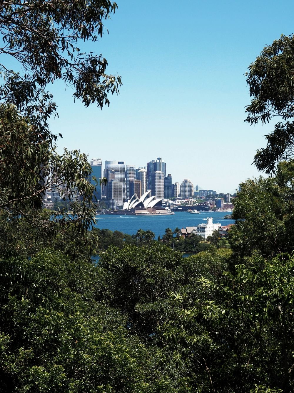 imagen de Montañas Azules y Scenic World + Sydney Zoo