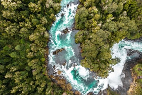 imagen de Escapada a la Reserva Biológica Huilo Huilo en Hotel Reino Fungi Lodge + un niño gratis