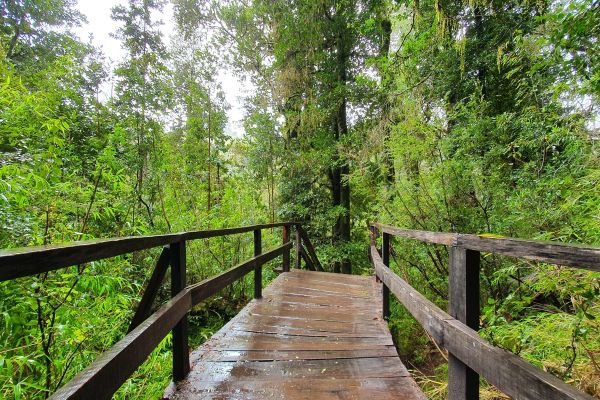 imagen de Escapada a la Reserva Biológica Huilo Huilo en Hotel Nothofagus + un niño gratis