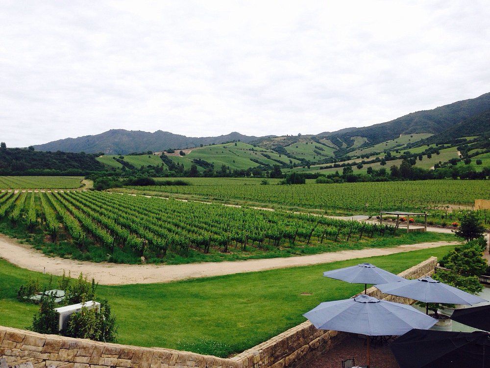 imagen de FD Colchagua Visitas Viña Montes (Tour Icono) - Viña Viu Manent (Tour Carruaje)